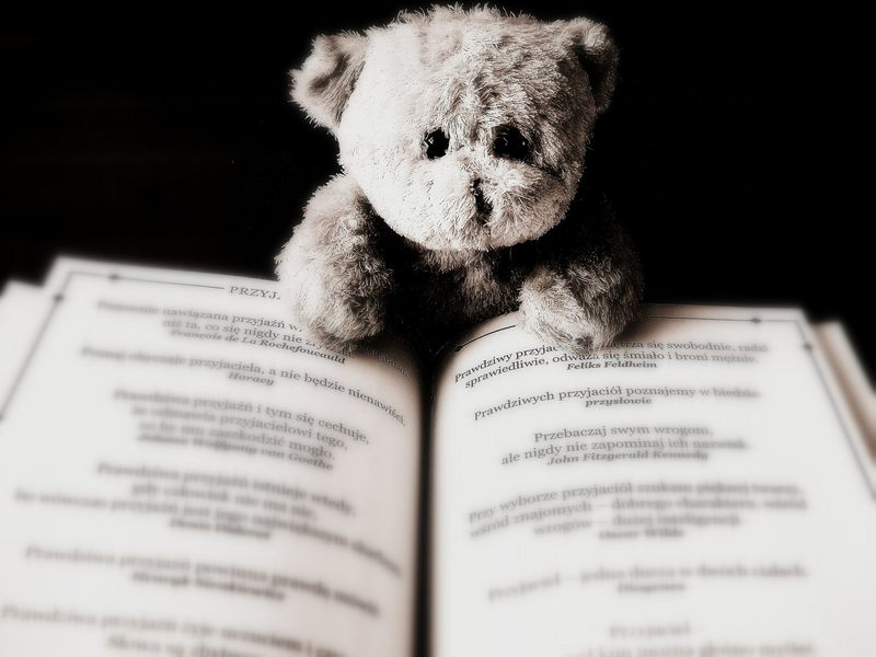 Teddy vor einem Buch